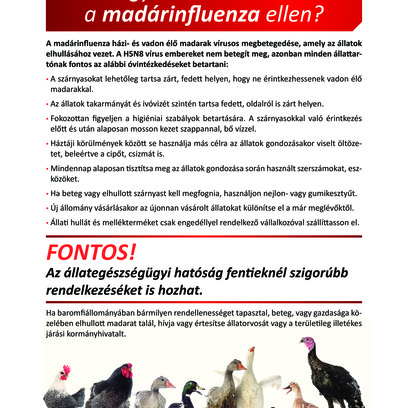 Madárinfluenza plakát
